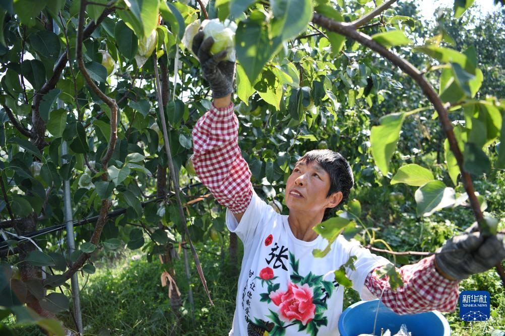 开心川麻电脑板